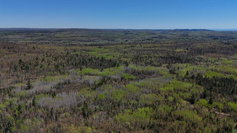 Tiny photo for 4715 Hefflefinger Rd, Finland, MN 55603 (MLS # 6128033)