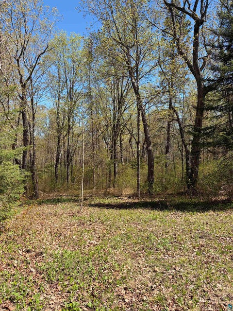 Tiny photo for 4715 Hefflefinger Rd, Finland, MN 55603 (MLS # 6128033)