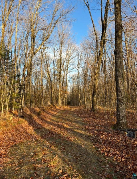 Tiny photo for 4715 Hefflefinger Rd, Finland, MN 55603 (MLS # 6128033)