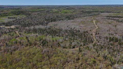 Tiny photo for 4715 Hefflefinger Rd, Finland, MN 55603 (MLS # 6128033)