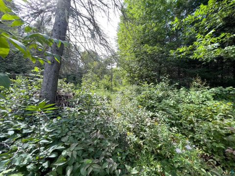 Tiny photo for 7143 Hwy 1, Finland, MN 55603 (MLS # 6124941)