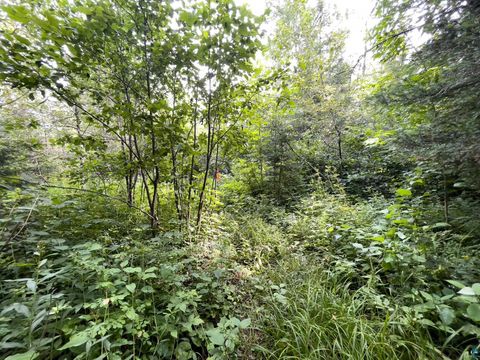 Tiny photo for 7143 Hwy 1, Finland, MN 55603 (MLS # 6124941)