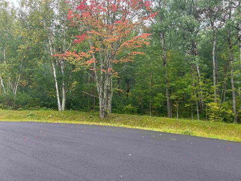 Photo of xxx Maple Grove Rd, Hermantown, MN 55810 (MLS # 6121850)