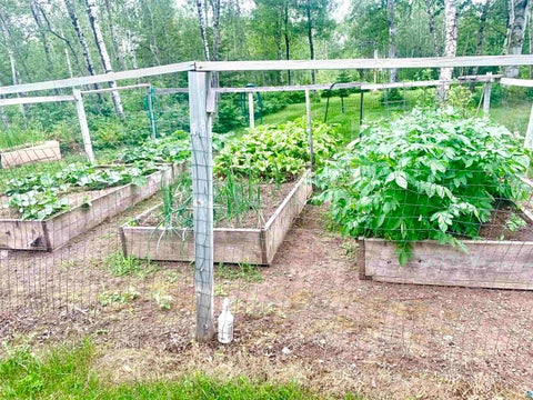 Tiny photo for 183 Cramer Rd, Schroeder, MN 55613 (MLS # 6126060)