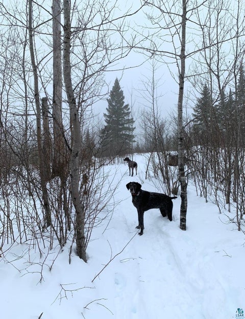 Tiny photo for 62 Jean Duluth Rd, Duluth, MN 55803 (MLS # 6126224)