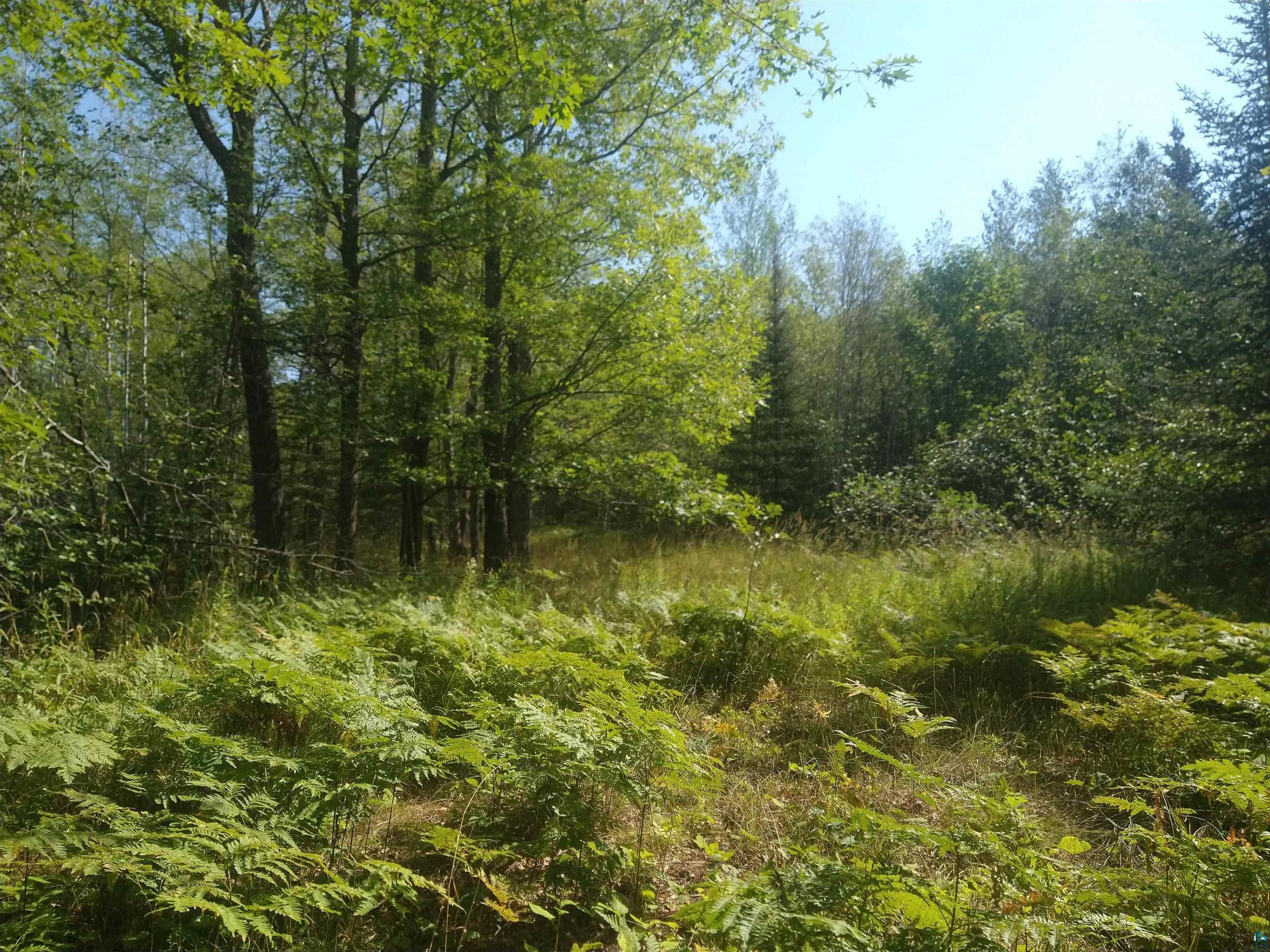 85XXX Fireplace Rd