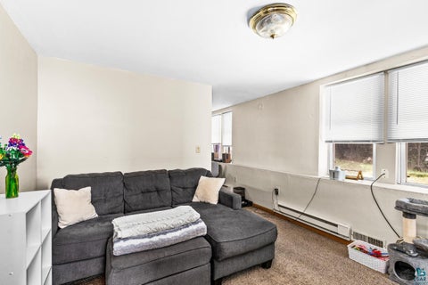 Tiny photo for 217 E 7th St, Duluth, MN 55805 (MLS # 6126713)