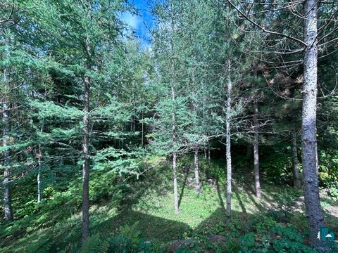 Tiny photo for 9501 Gunflint Tr, Grand Marais, MN 55604 (MLS # 6128019)