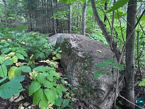 Tiny photo for 9501 Gunflint Tr, Grand Marais, MN 55604 (MLS # 6128019)