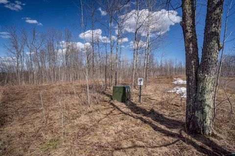 Tiny photo for 60 Rycor Lane, Duluth, MN 55811 (MLS # 6124757)