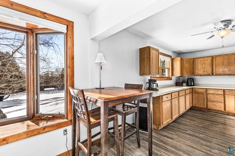 Tiny photo for 29 W Ideal St, Duluth, MN 55811 (MLS # 6123857)