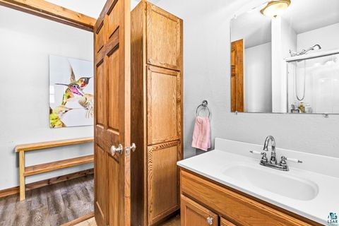 Tiny photo for 29 W Ideal St, Duluth, MN 55811 (MLS # 6123857)