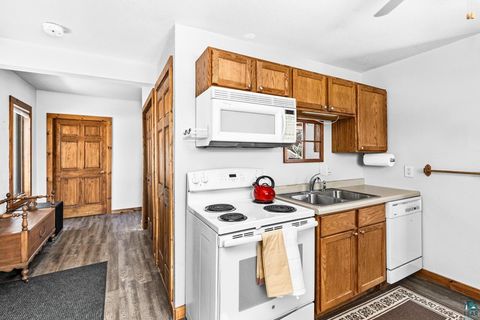 Tiny photo for 29 W Ideal St, Duluth, MN 55811 (MLS # 6123857)