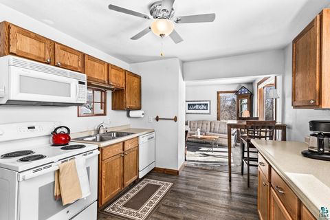 Tiny photo for 29 W Ideal St, Duluth, MN 55811 (MLS # 6123857)