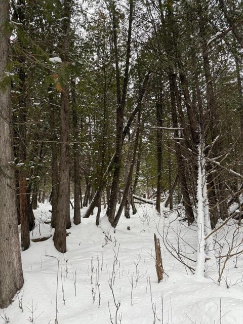 Tiny photo for 40 Lavaque Rd, Duluth, MN 55802 (MLS # 6123417)