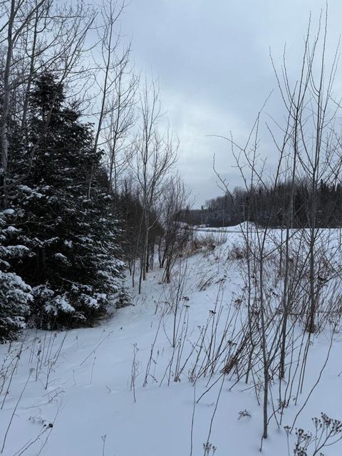 Tiny photo for 40 Lavaque Rd, Duluth, MN 55802 (MLS # 6123417)