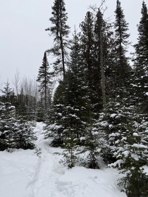 Tiny photo for 40 Lavaque Rd, Duluth, MN 55802 (MLS # 6123417)