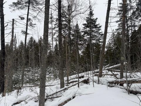 Tiny photo for 40 Lavaque Rd, Duluth, MN 55802 (MLS # 6123417)