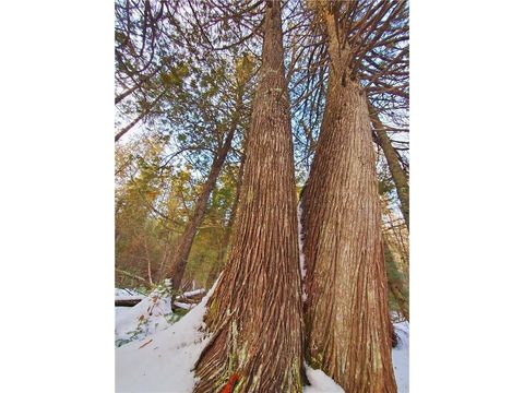 Tiny photo for 40 Lavaque Rd, Duluth, MN 55802 (MLS # 6123417)