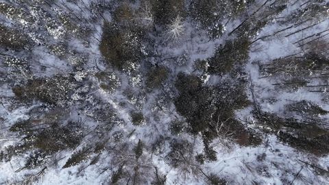 Tiny photo for 40 Lavaque Rd, Duluth, MN 55802 (MLS # 6123417)