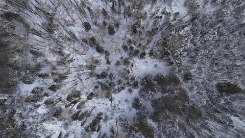 Tiny photo for 40 Lavaque Rd, Duluth, MN 55802 (MLS # 6123417)