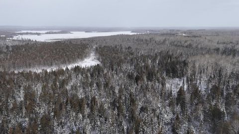 Tiny photo for 40 Lavaque Rd, Duluth, MN 55802 (MLS # 6123417)