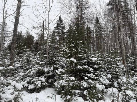 Tiny photo for 40 Lavaque Rd, Duluth, MN 55802 (MLS # 6123417)