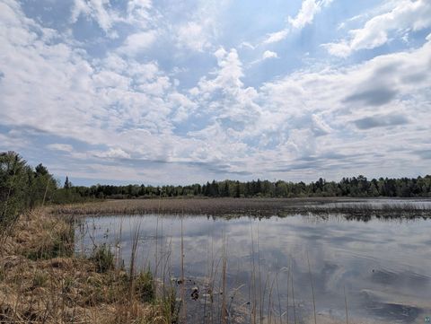 Tiny photo for 9086 Green Rd, Hibbing, MN 55746 (MLS # 6125628)