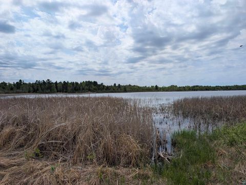 Tiny photo for 9086 Green Rd, Hibbing, MN 55746 (MLS # 6125628)