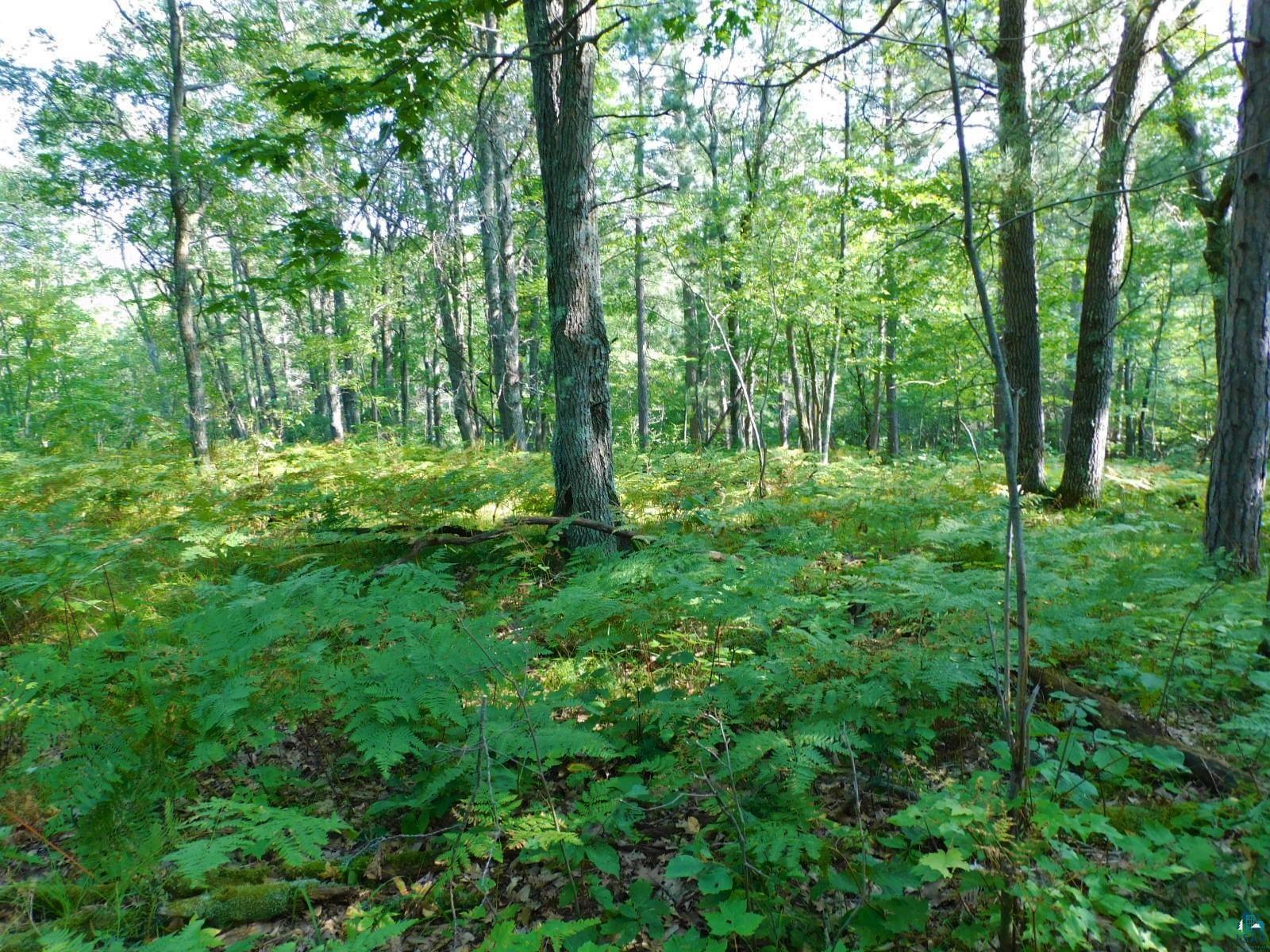 TBD Lot #2 Tressel Trail