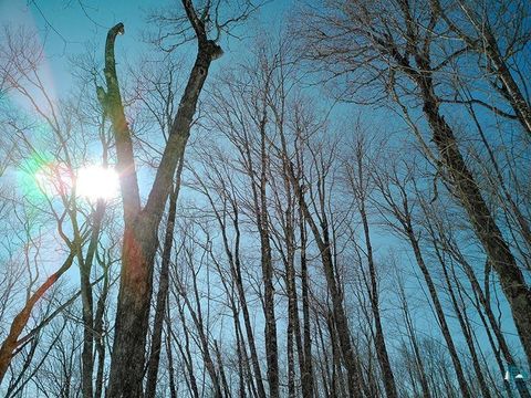 Tiny photo for 33 Hillside Dr, Lutsen, MN 55612 (MLS # 6124429)