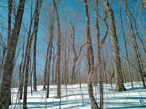 Photo of 33 Hillside Dr, Lutsen, MN 55612 (MLS # 6124429)