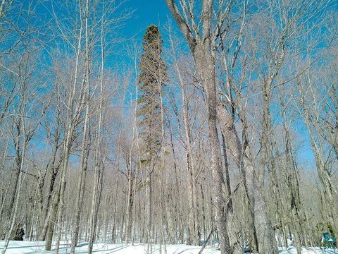 Tiny photo for 33 Hillside Dr, Lutsen, MN 55612 (MLS # 6124429)