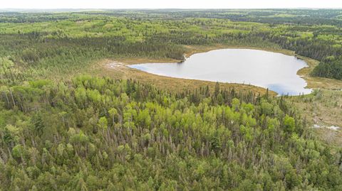 Tiny photo for TBD Victor Lake Rd, Isabella, MN 55607 (MLS # 6123597)