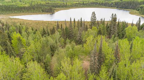 Tiny photo for TBD Victor Lake Rd, Isabella, MN 55607 (MLS # 6123597)