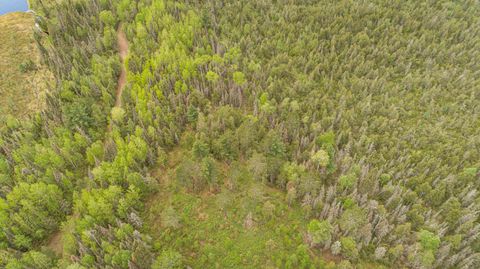 Tiny photo for TBD Victor Lake Rd, Isabella, MN 55607 (MLS # 6123597)