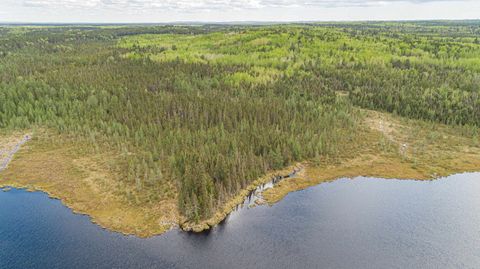 Tiny photo for TBD Victor Lake Rd, Isabella, MN 55607 (MLS # 6123597)