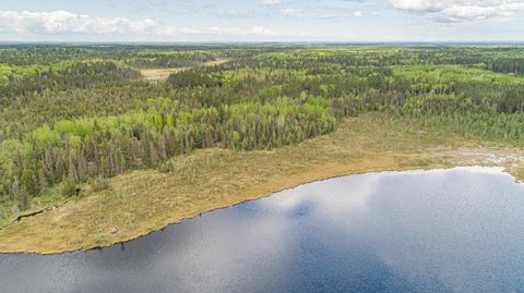 Tiny photo for TBD Victor Lake Rd, Isabella, MN 55607 (MLS # 6123597)