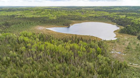 Tiny photo for TBD Victor Lake Rd, Isabella, MN 55607 (MLS # 6123597)