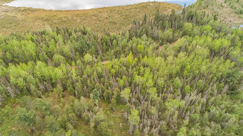 Tiny photo for TBD Victor Lake Rd, Isabella, MN 55607 (MLS # 6123597)