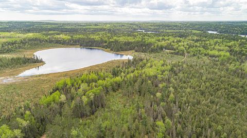 Tiny photo for TBD Victor Lake Rd, Isabella, MN 55607 (MLS # 6123597)