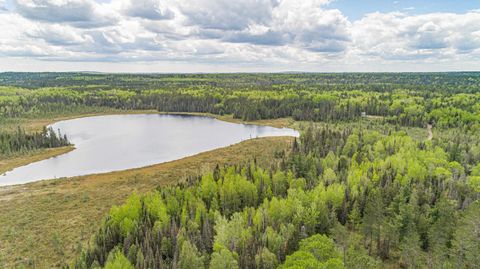 Tiny photo for TBD Victor Lake Rd, Isabella, MN 55607 (MLS # 6123597)