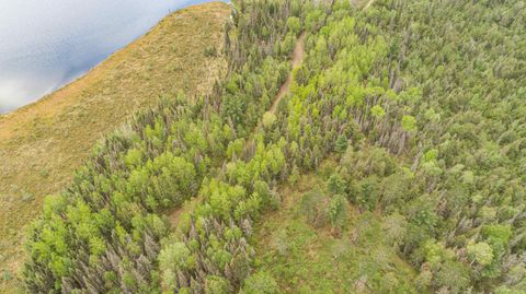 Tiny photo for TBD Victor Lake Rd, Isabella, MN 55607 (MLS # 6123597)