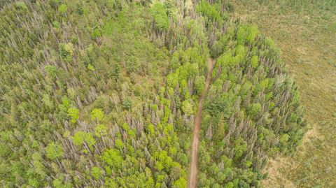 Tiny photo for TBD Victor Lake Rd, Isabella, MN 55607 (MLS # 6123597)