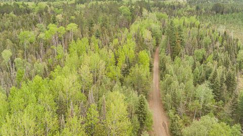 Tiny photo for TBD Victor Lake Rd, Isabella, MN 55607 (MLS # 6123597)
