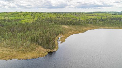 Tiny photo for TBD Victor Lake Rd, Isabella, MN 55607 (MLS # 6123597)