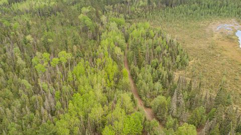Tiny photo for TBD Victor Lake Rd, Isabella, MN 55607 (MLS # 6123597)