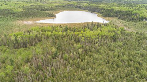 Tiny photo for TBD Victor Lake Rd, Isabella, MN 55607 (MLS # 6123597)