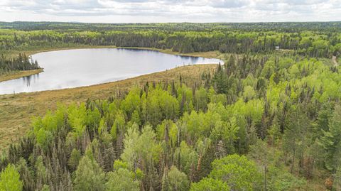 Photo of TBD Victor Lake Rd, Isabella, MN 55607 (MLS # 6123597)