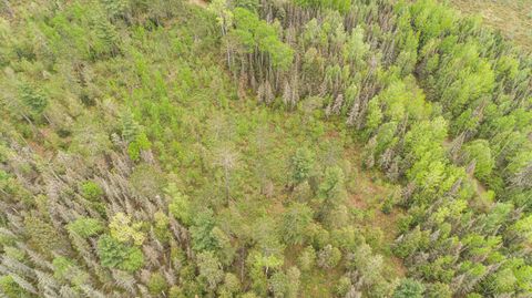 Tiny photo for TBD Victor Lake Rd, Isabella, MN 55607 (MLS # 6123597)